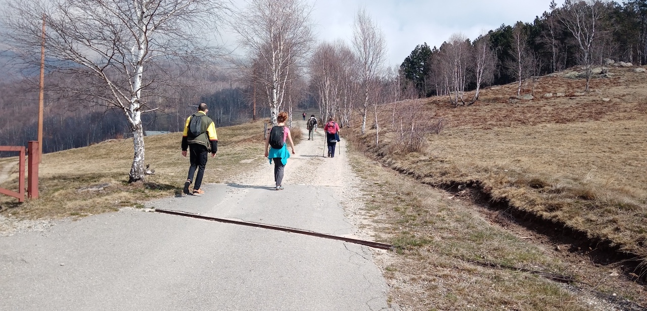 Servizi socio sanitari